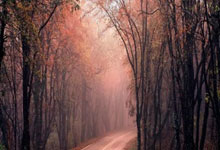 李诗沣替补安赛龙参赛!世界羽联宣布戏剧性换人潮新闻.