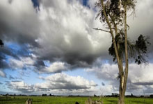 易游体育：张雪峰参加无锡马拉松，“八步赶蝉式”跑全程，主打一个字“玩”.