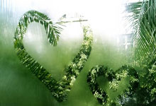 拼搏不息 逐梦绽彩.