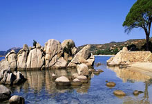 国足主帅伊万科维奇：满意球员拼搏、激情的态度.